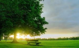 Meet your Posher, Janet